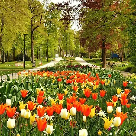 Apartamento Kurpark & Therme Bad Lippspringe