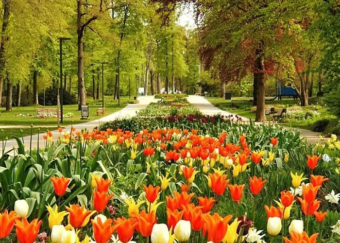 Apartamento Kurpark & Therme Bad Lippspringe